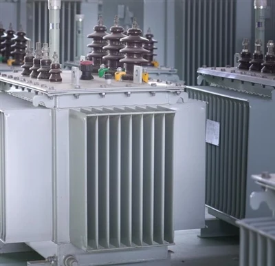 Trasformatore di distribuzione immerso in olio da 63 kVA-per reti rurali